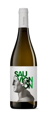 סוביניון בלאן – יין לבן יבש