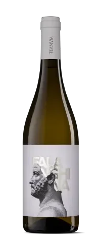 פאלנגינה – יין לבן יבש